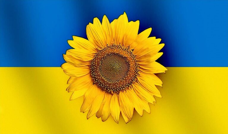 Ukraine Sunflower